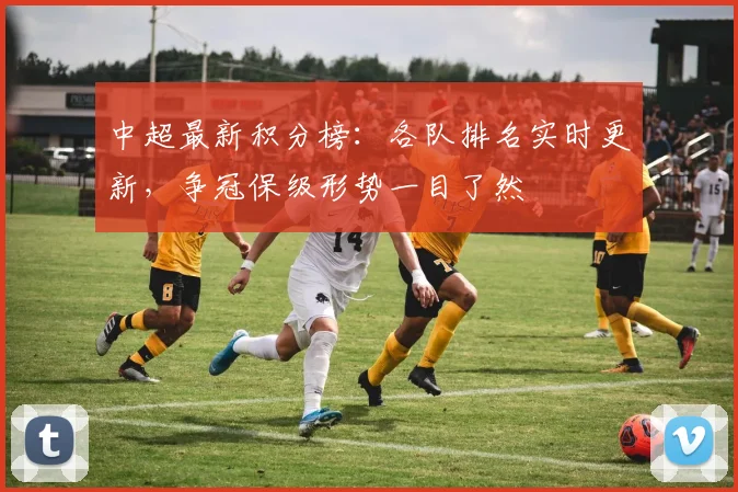 中超最新积分榜：各队排名实时更新，争冠保级形势一目了然